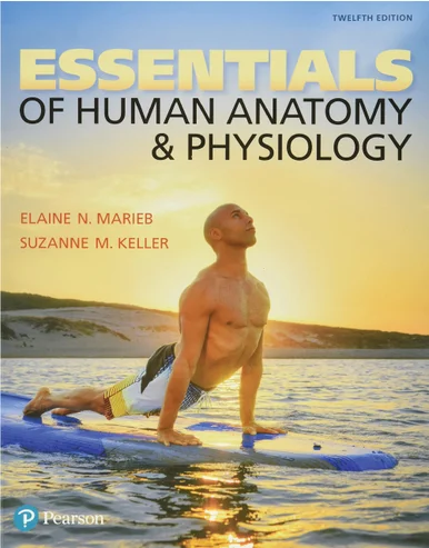 Essentials of Human Anatomy & Physiology 12th Edition