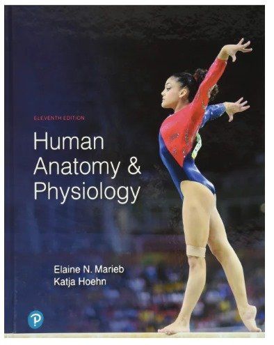 Human Anatomy & Physiology 11th Edition